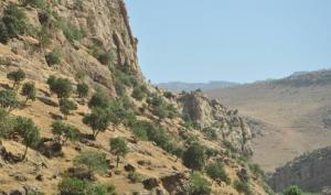 Aserbaidschan - Nordpersien - Kurdistan (Irak)