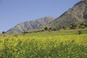 Abenteuer Persien: Berge, Nomaden, Wüste Abenteuer Persien: Berge, Nomaden, Wüste