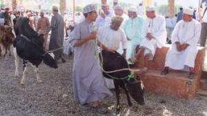 Arabische Emirate & Oman - Mit Musandam Arabische Emirate & Oman - Mit Musandam
