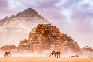 Jordanien  -  Wandern durch Wüste und Wadis