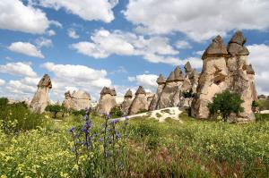 Landschaft und Naturschutz in der Türkei