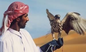 Metropolen der Wüste: Dubai & Baden in Abu Dhabi