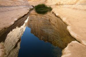 Natur und Ökologie in Israel