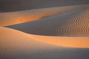 Oman - Ins Sandmeer der Rub al-Khali